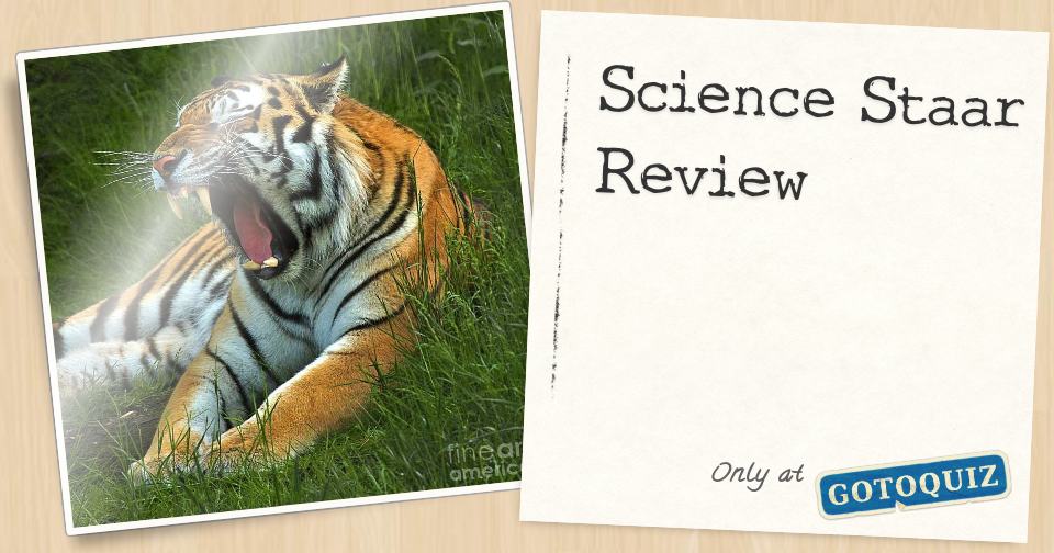 Science Staar Review