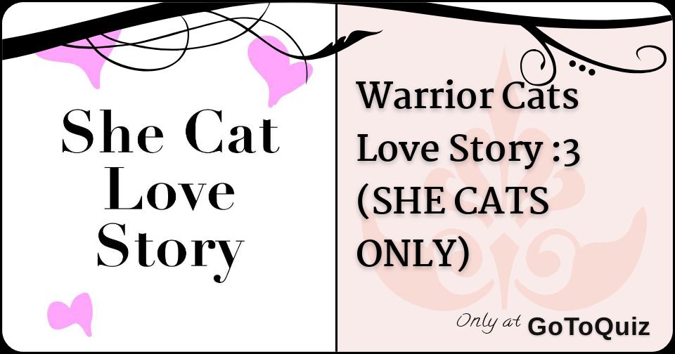 Warrior Cats Love Story 3 SHE CATS ONLY