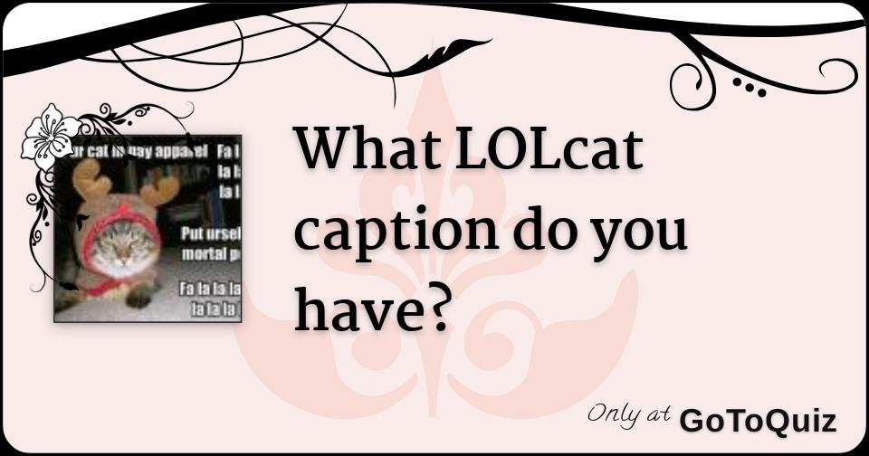 What Lolcat Caption Do You Have