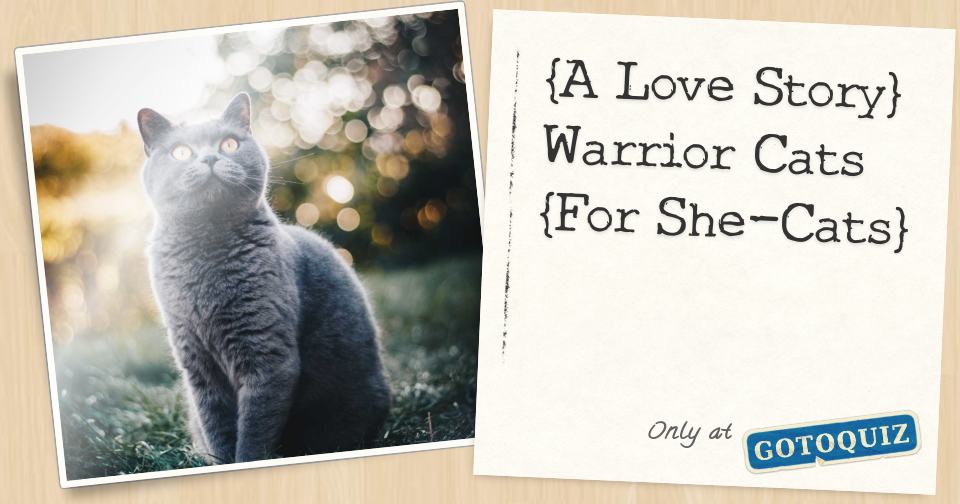 A Love Story Warrior Cats For She Cats