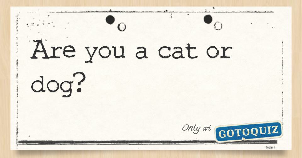 Are You A Cat Or Dog?