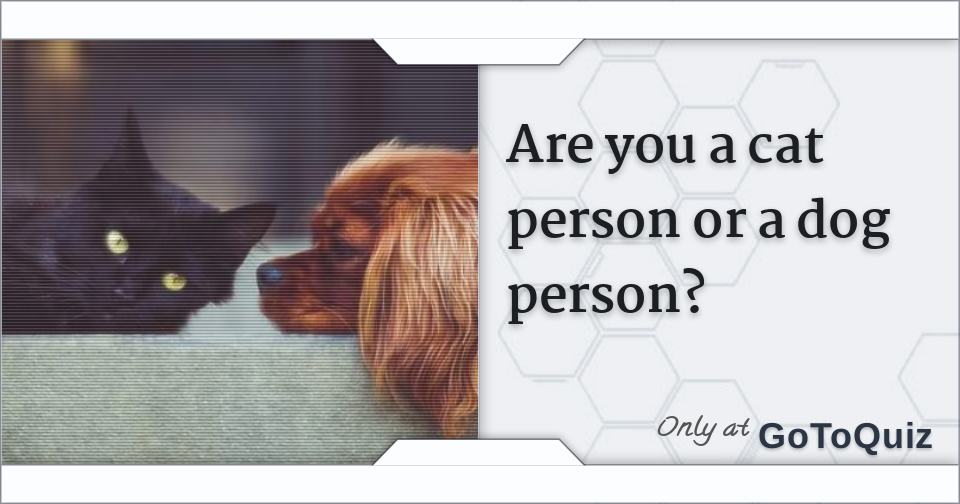 Are You A Cat Person Or A Dog Person?