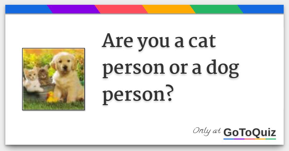 Are You A Cat Person Or A Dog Person?