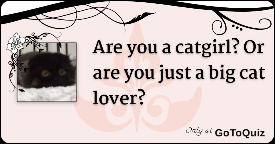 Are you a catgirl? Or are you just a big cat lover?