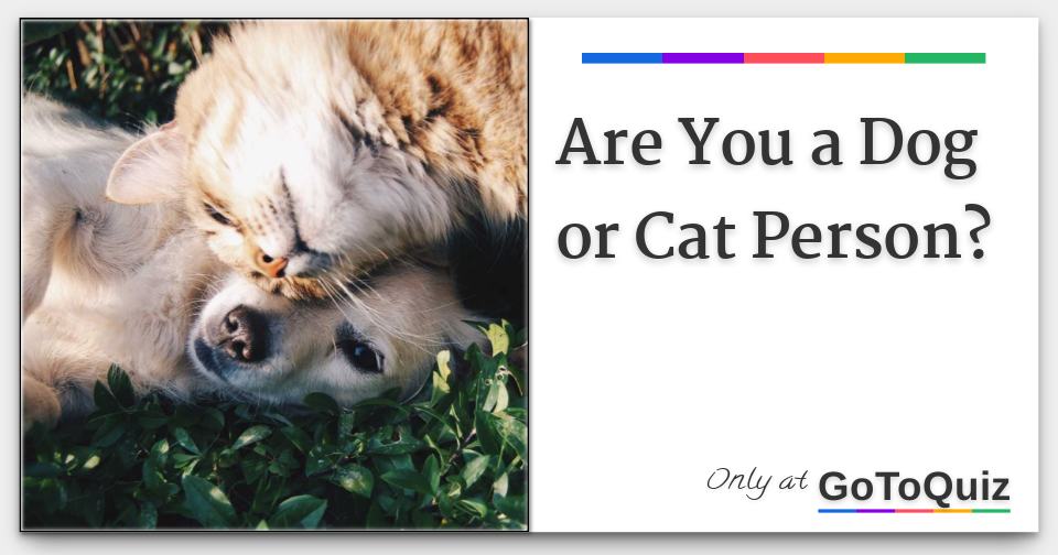 Are You A Dog Or Cat Person?