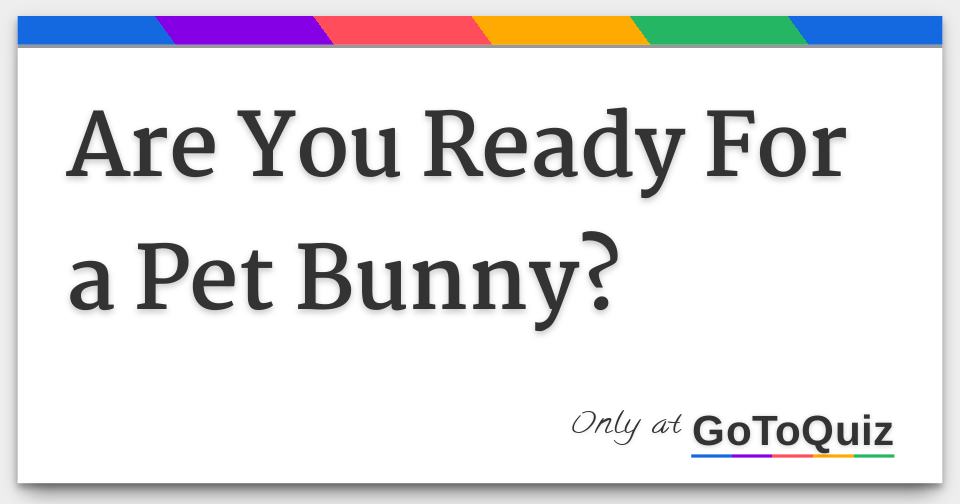 are-you-ready-for-a-pet-bunny