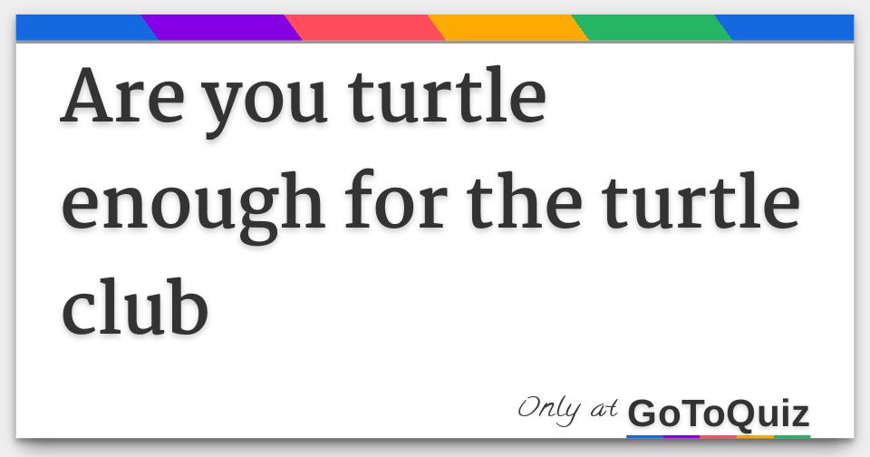 Are you turtle enough for the turtle club