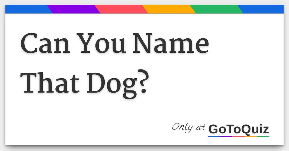 Can You Name That Dog?