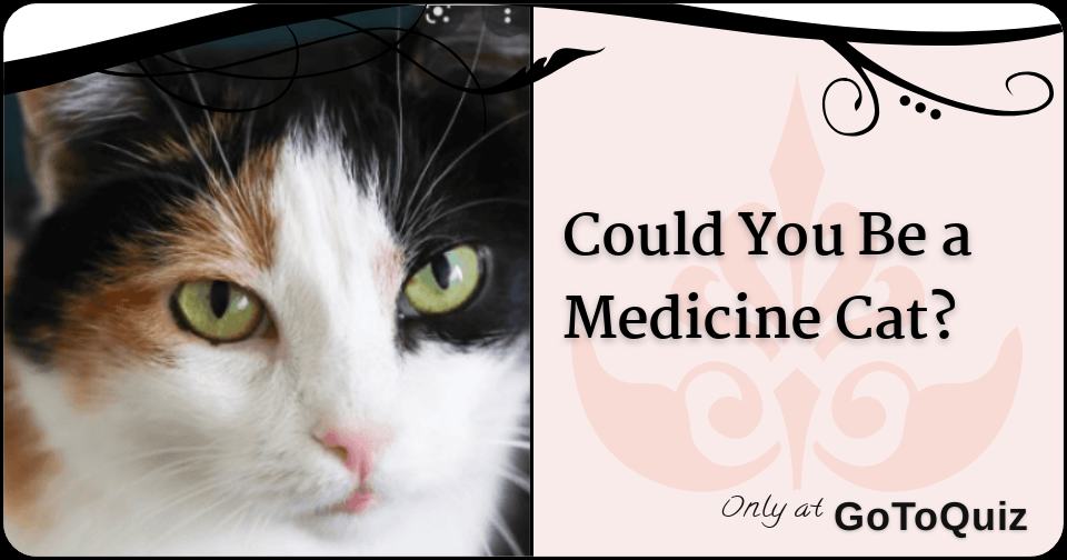 Could You Be a Medicine Cat?