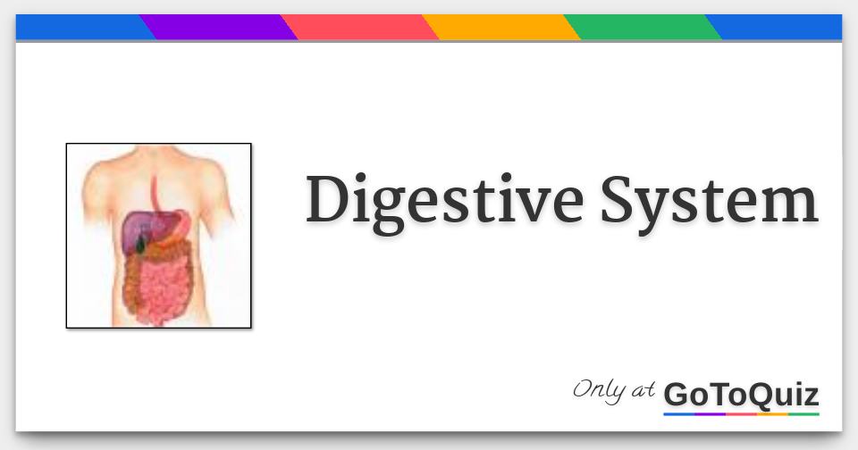 Digestive System