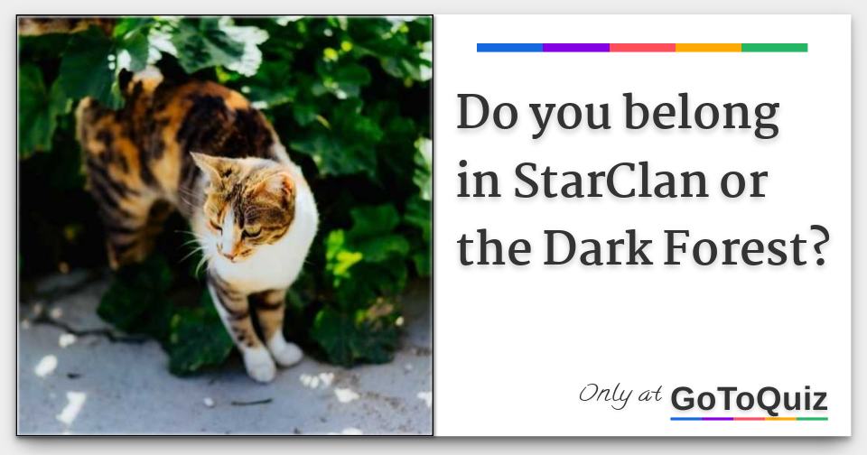 warrior cats dark forest vs starclan