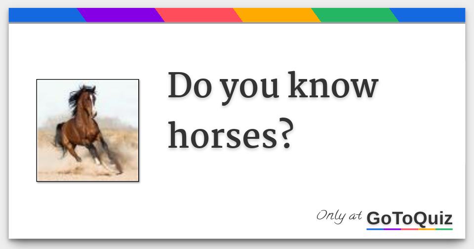 Do you know horses?