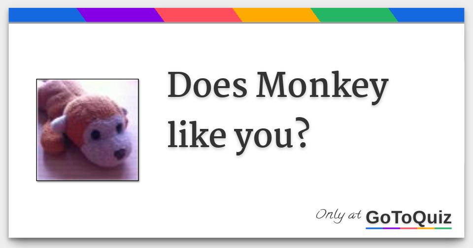 i know a monkey