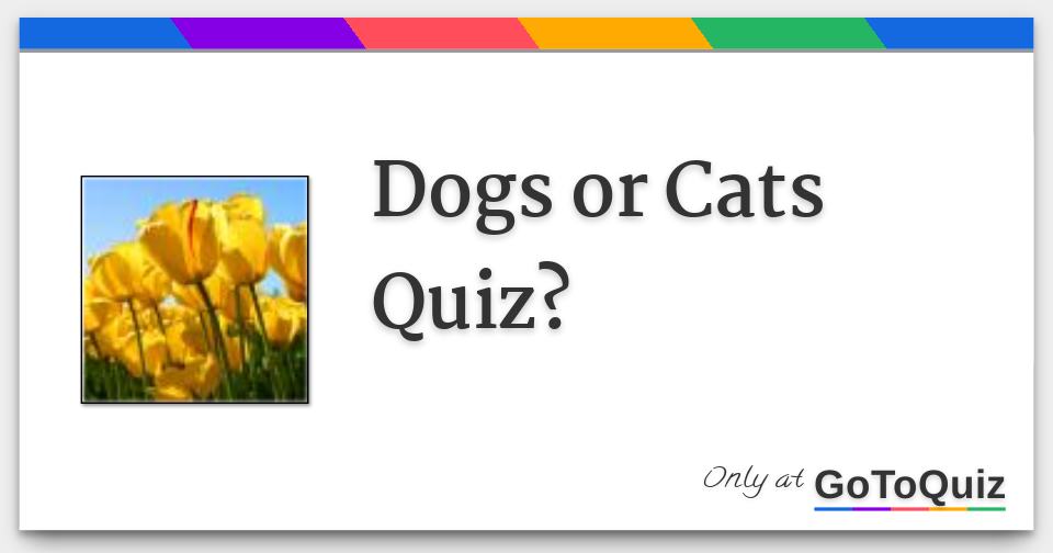 Dogs or Cats Quiz?