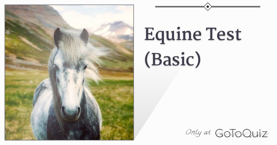 Equine Test (Basic)