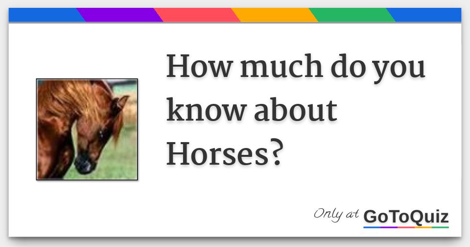 How much do you know about Horses? Are you a horse person?