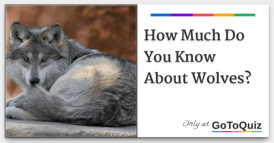 How Much Do You Know About Wolves?