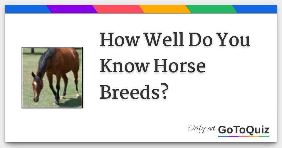 How Well Do You Know Horse Breeds?