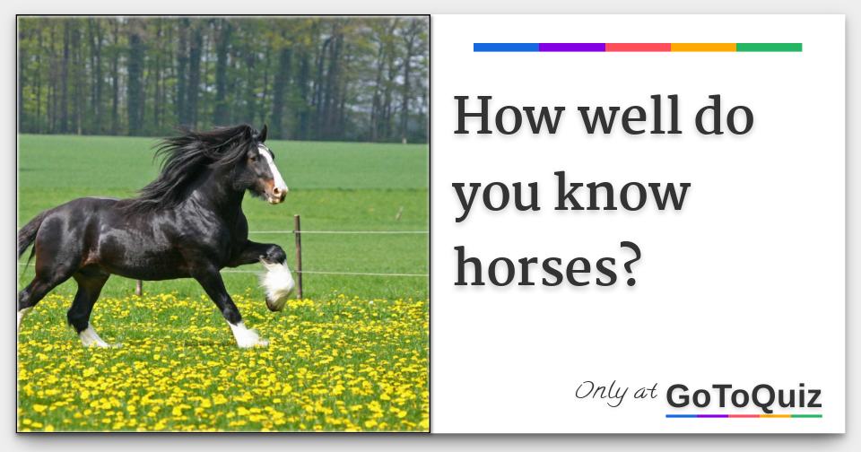 How Well Do You Know Horses?