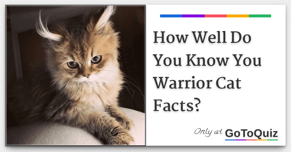 Interesting facts about warrior cats!