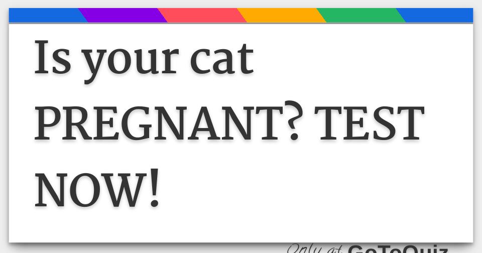 Is your cat PREGNANT? TEST NOW!