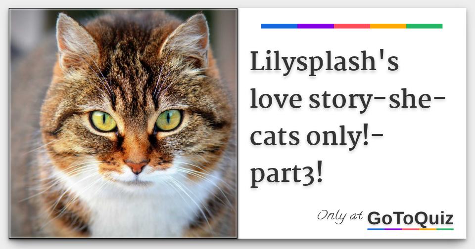 Lilysplash S Love Story She Cats Only Part3