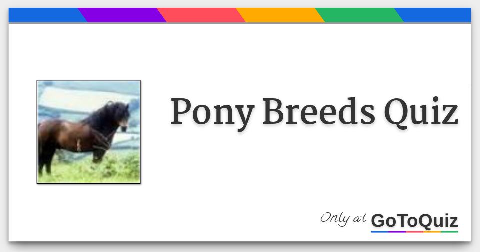 Pony Breeds Quiz