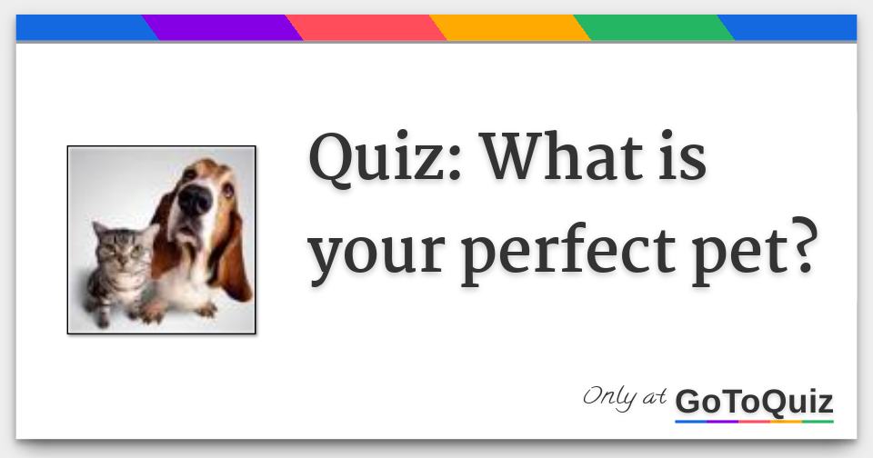Quiz: What is your perfect pet?