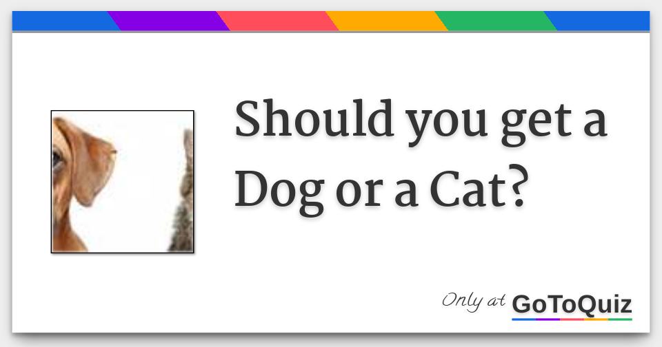 Should you get a Dog or a Cat?