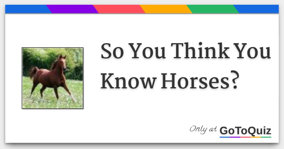 So You Think You Know Horses?