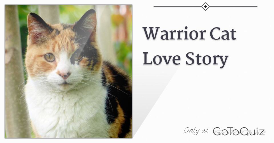 Warrior Cat Love Story