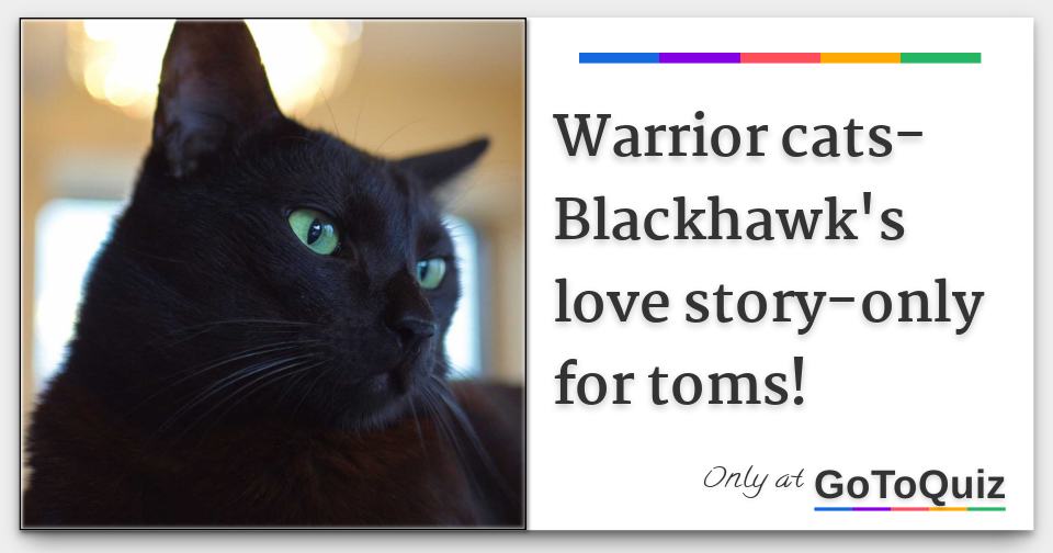 Warrior Cats Blackhawk S Love Story Only For Toms