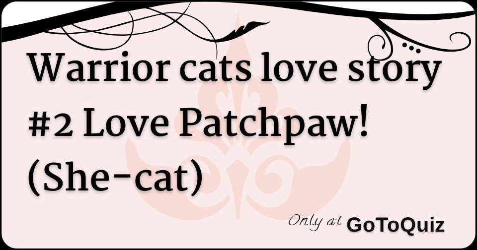 Warrior Cats Love Story 2 Love Patchpaw She Cat