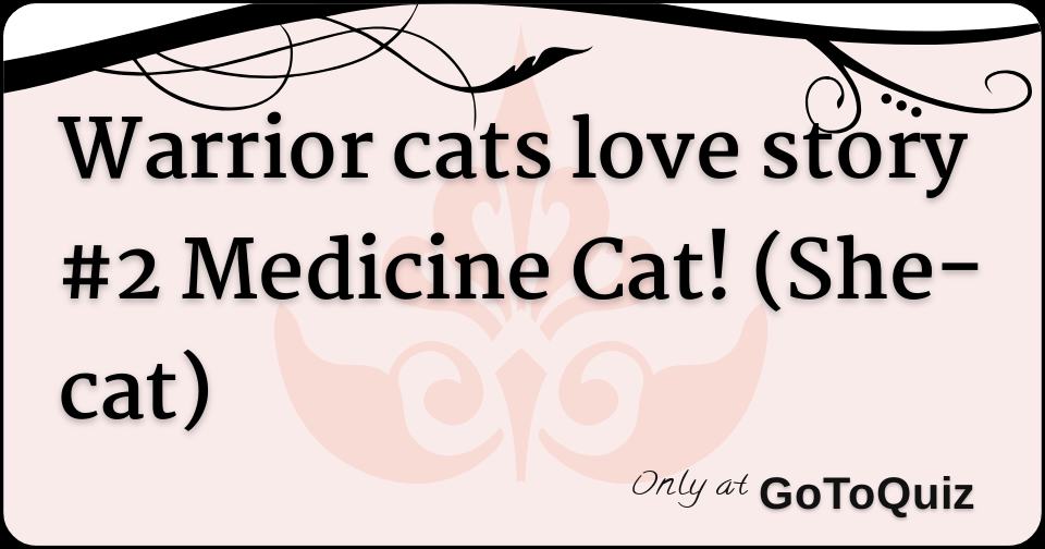 Warrior Cats Love Story 2 Medicine Cat She Cat