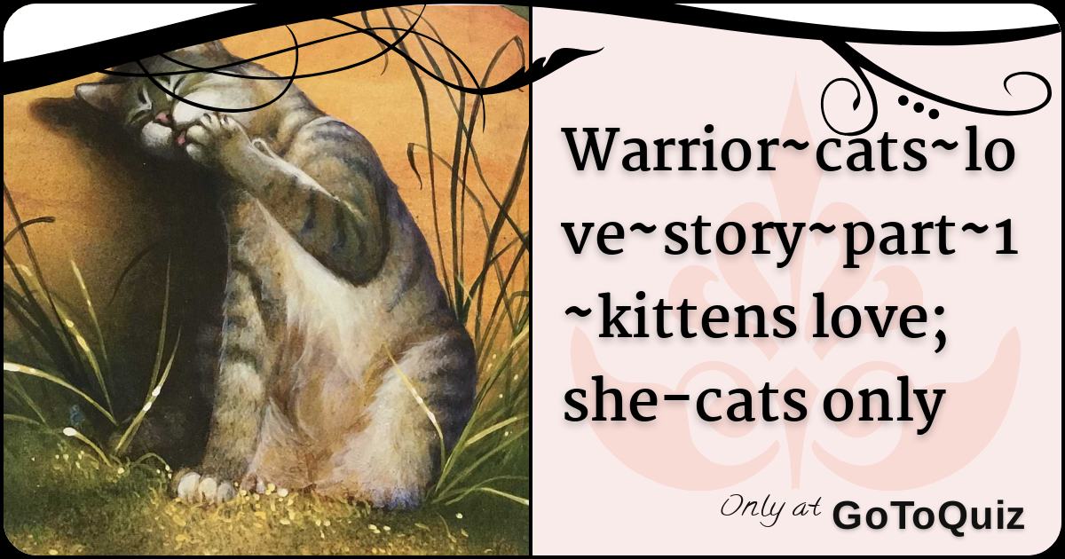 Warrior Cats Love Story Part 1 Kittens Love She Cats Only