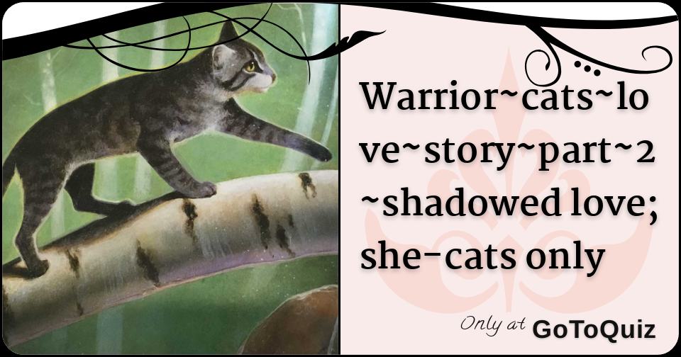 Warrior Cats Love Story Part 2 Shadowed Love She Cats Only