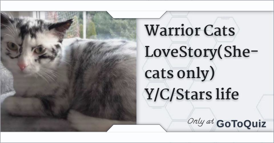 Warrior Cats Lovestory She Cats Only Y C Stars Life