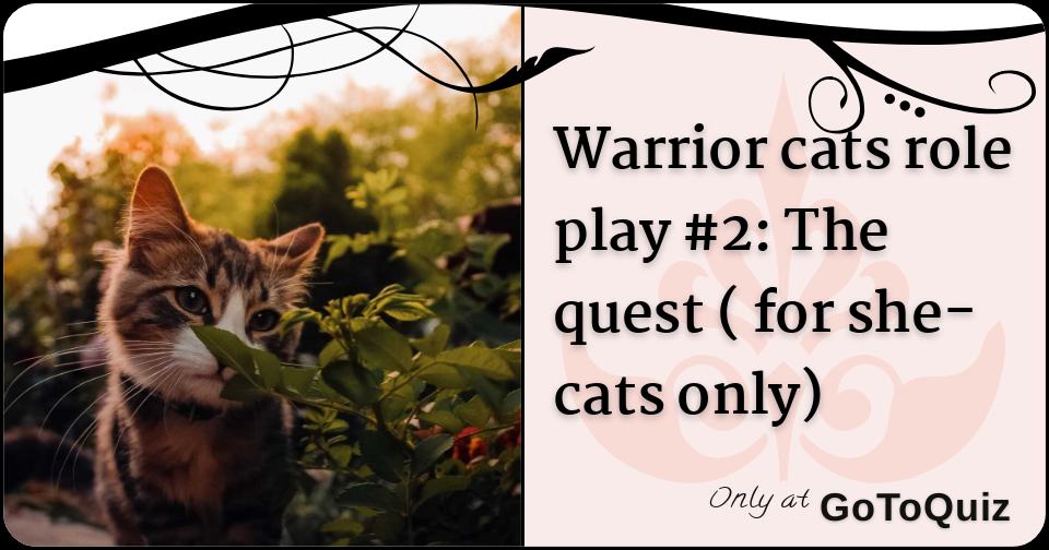 Warrior Cats Role Play 2 The Quest For She Cats Only