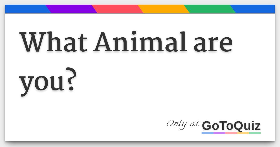 what-animal-are-you