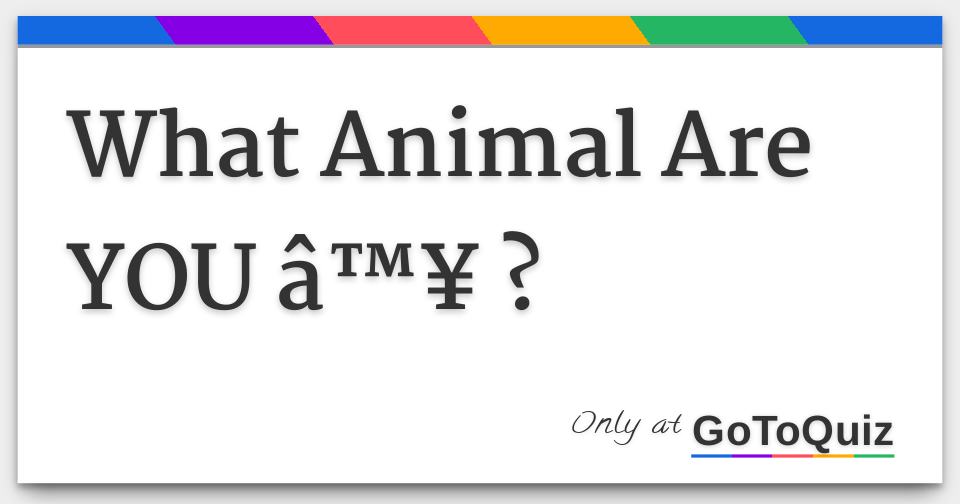 what-animal-are-you