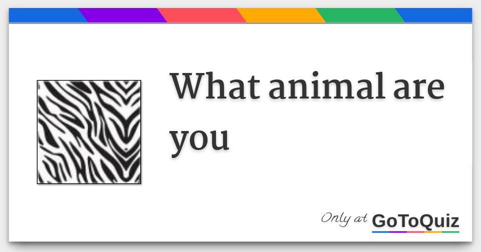 what animal are you