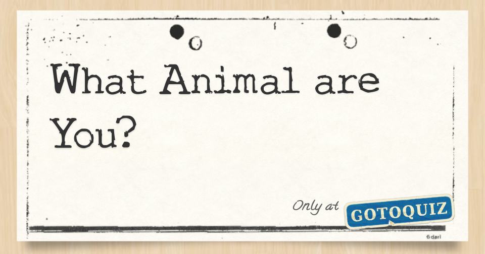 What Animal are You?