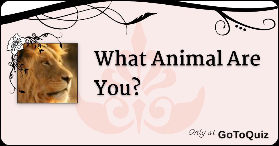 What Animal Are You?