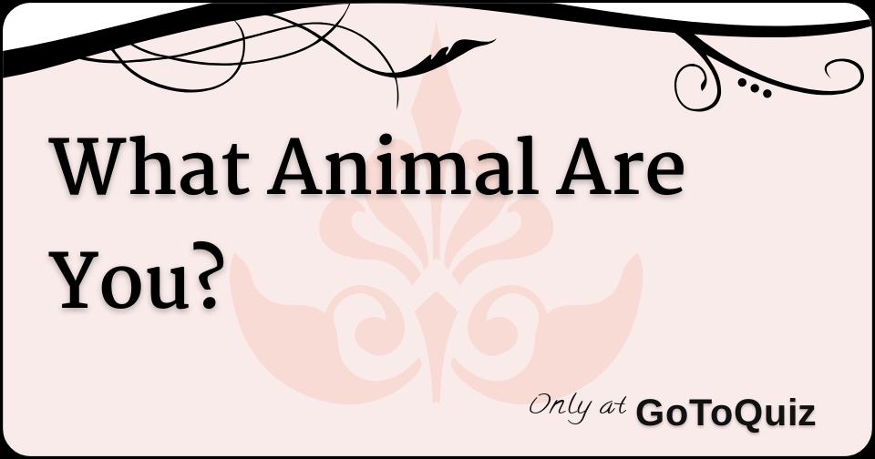 What Animal Are You?