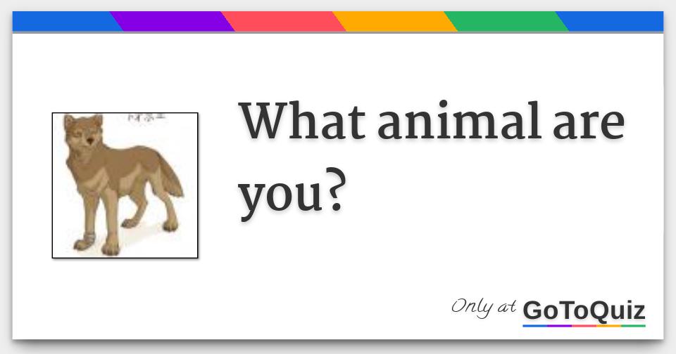 What animal are you?