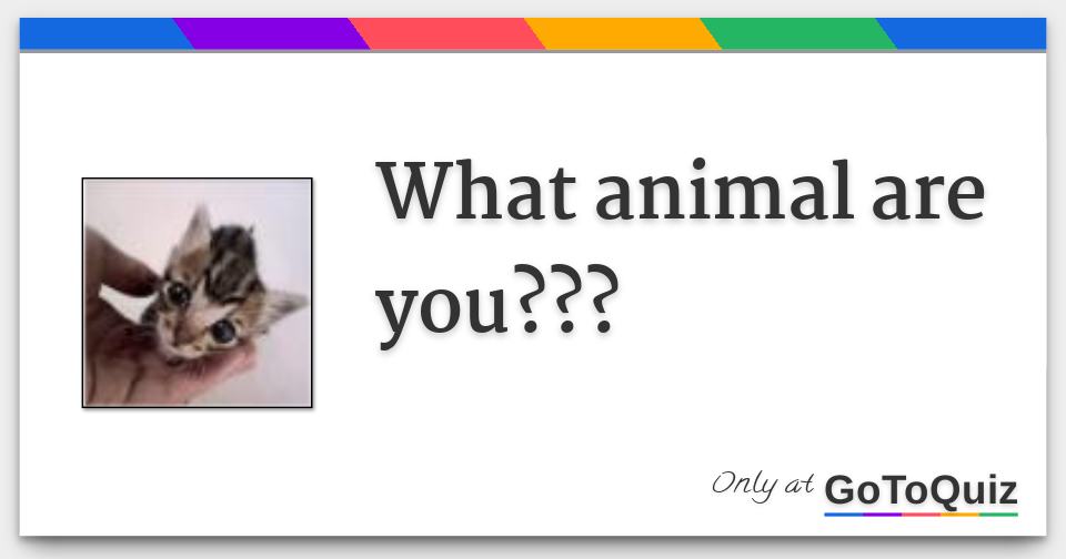 What animal are you???