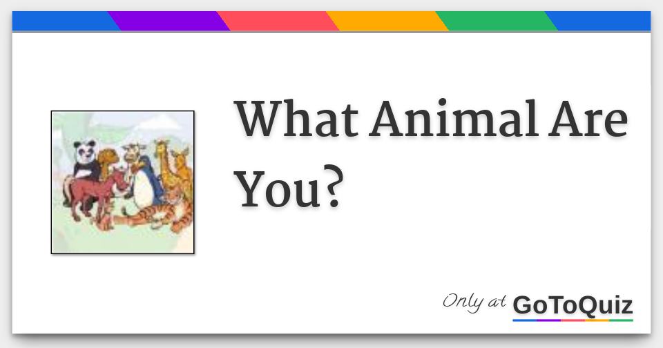 what-animal-are-you