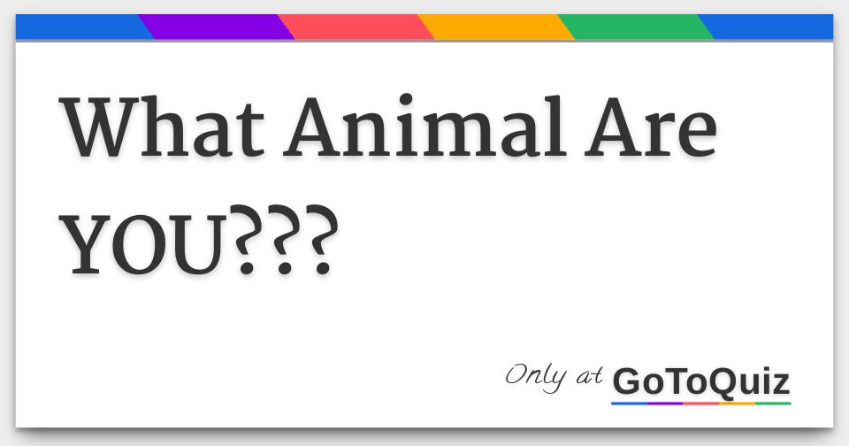 What Animal Are YOU???