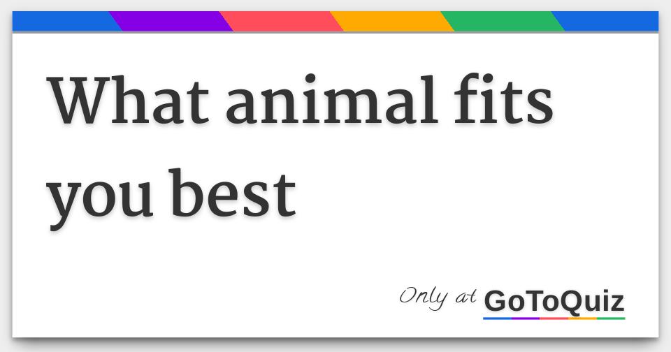 what-animal-fits-you-best