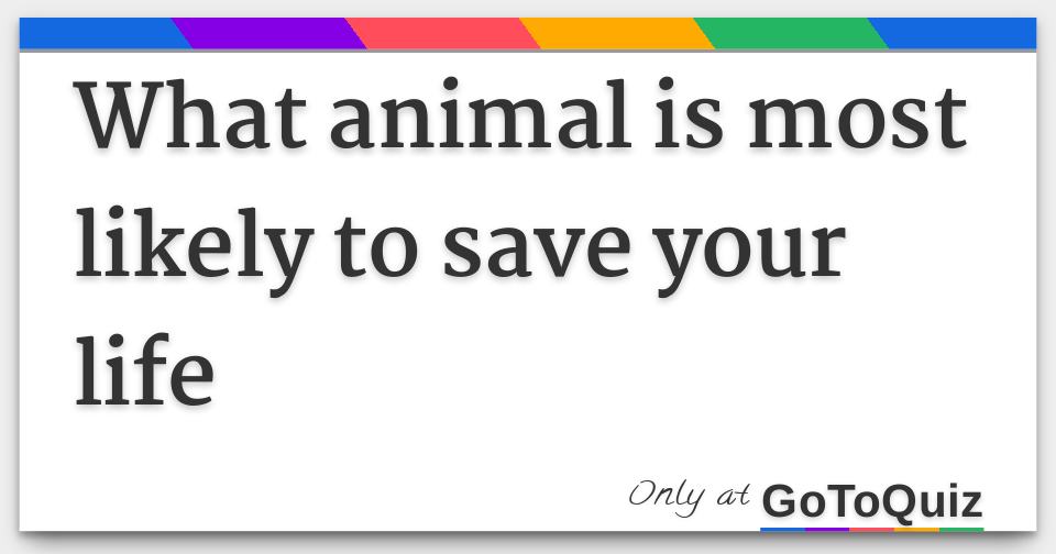 what-animal-is-most-likely-to-save-your-life